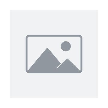 Live Edge Slab Dining Table Main View